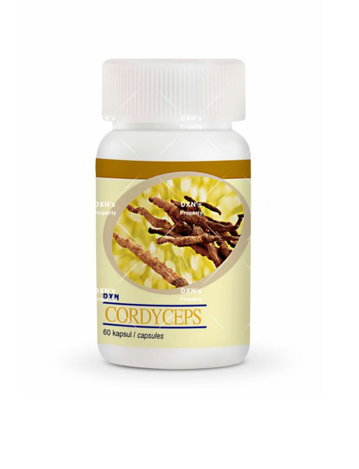 DXN Cordyceps Powder 30g price in Bangladesh – হেলদি সাপ্লিমেন্ট - Image 4