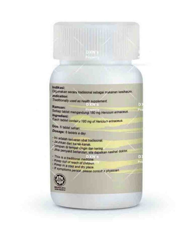Buy DXN Lion’s Mane Powder 30g Online-Memory & Brain Booster - Image 3